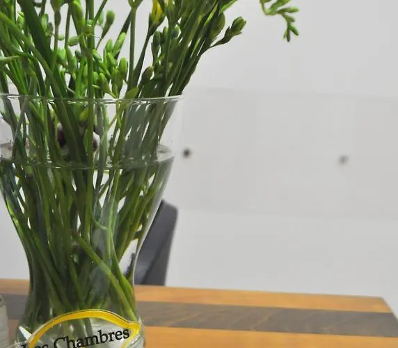 Les 5* Σορέντο